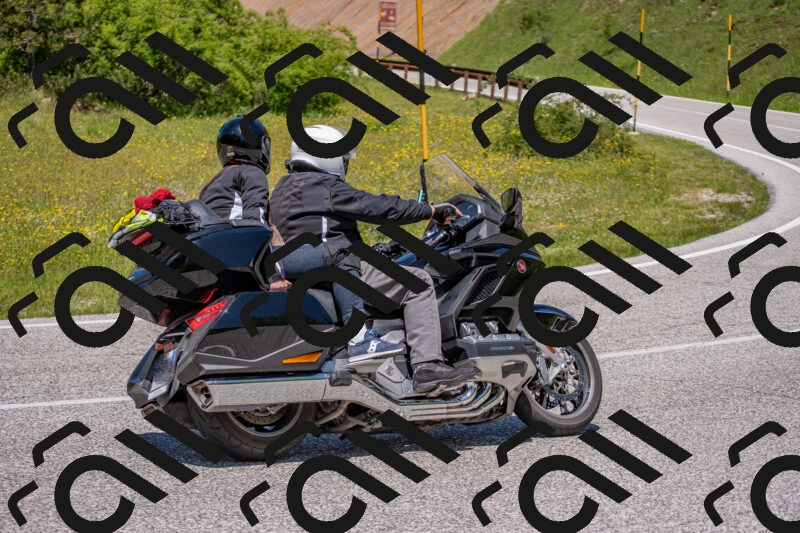 202506021253-DSC_9334_c4_