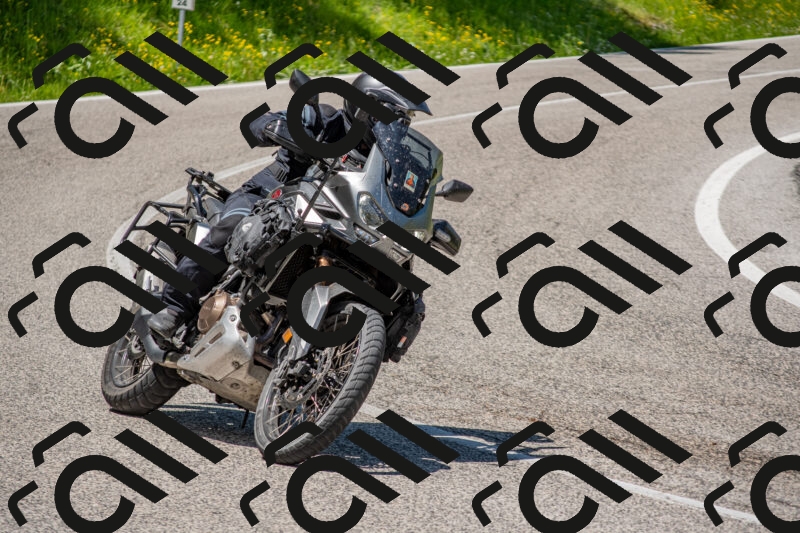 202506021253-DSC_9335_c4_