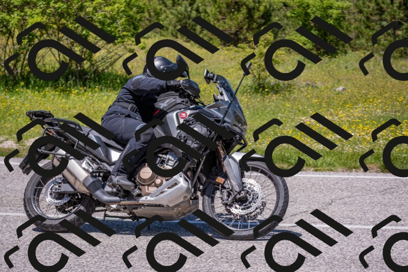 202506021253-DSC_9336_c4_