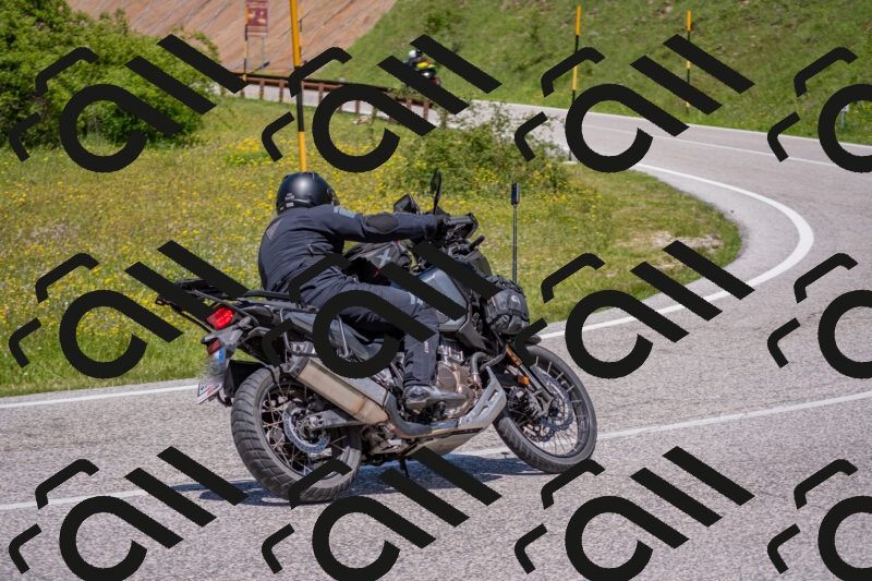 202506021253-DSC_9337_c4_