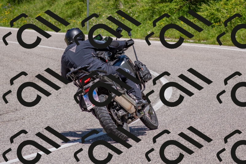 202506021253-DSC_9338_c4_