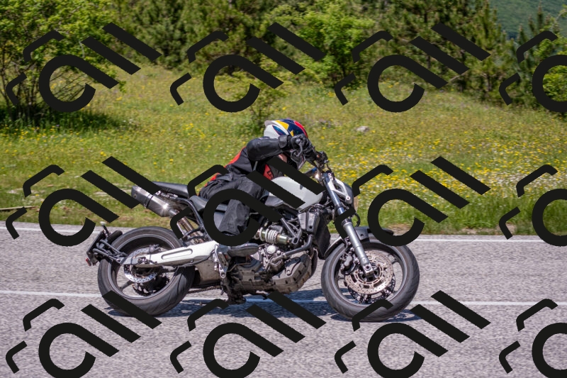 202506021254-DSC_9341_c4_