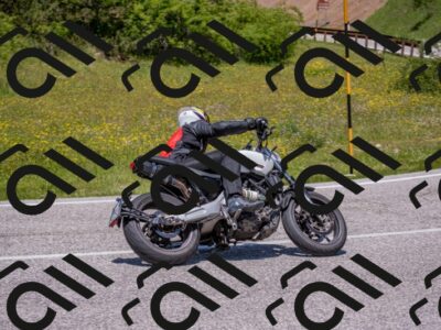 202506021254-DSC_9342_c4_