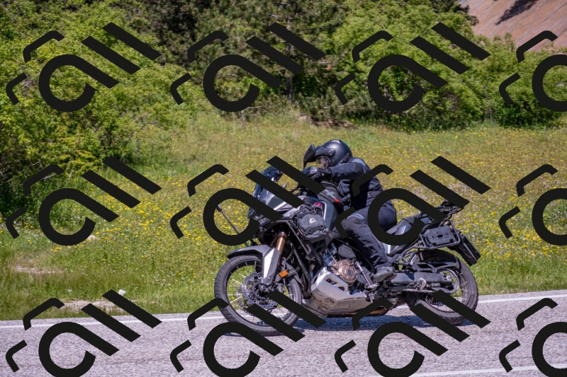 202506021254-DSC_9344_c4_