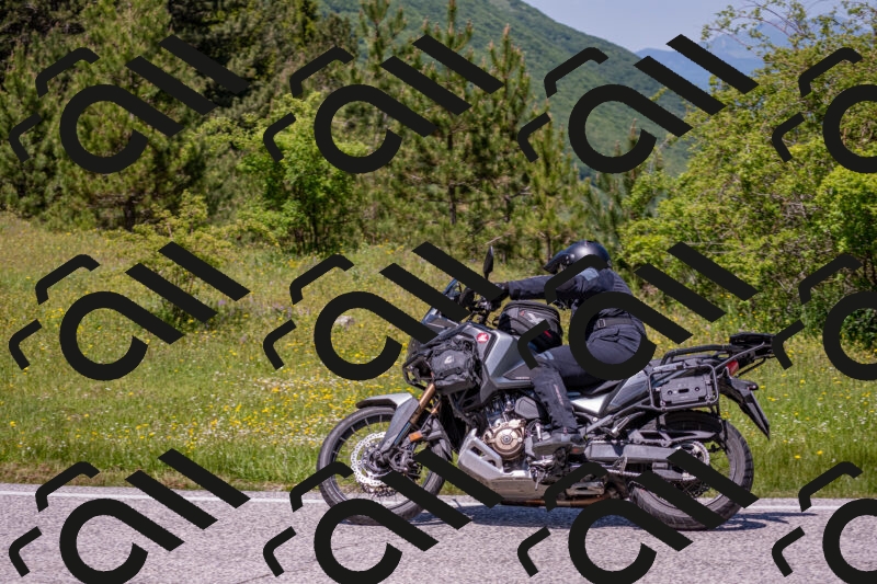 202506021254-DSC_9345_c4_