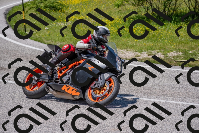 202506021254-DSC_9351_c4_