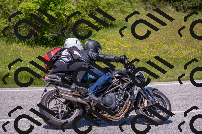 202506021254-DSC_9356_c4_