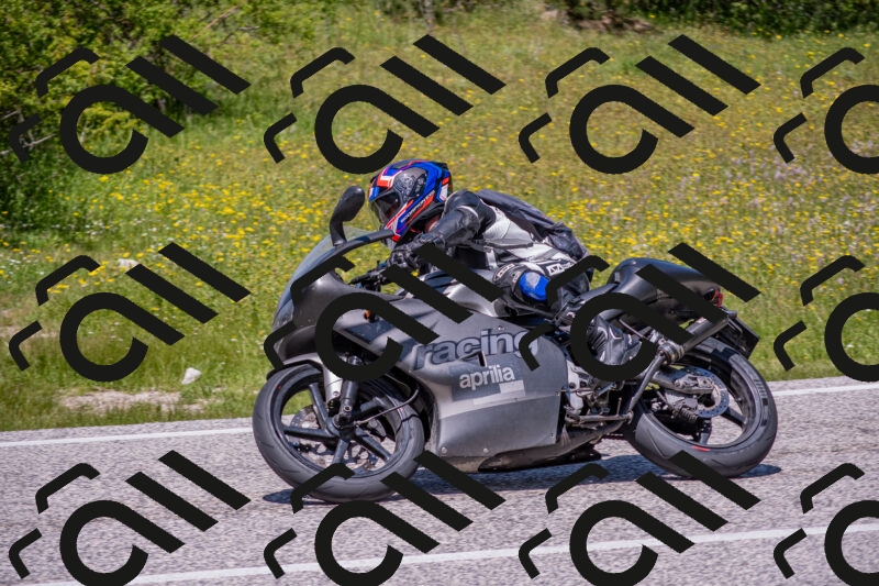 202506021254-DSC_9360_c4_