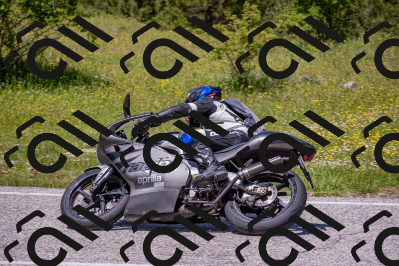 202506021254-DSC_9361_c4_