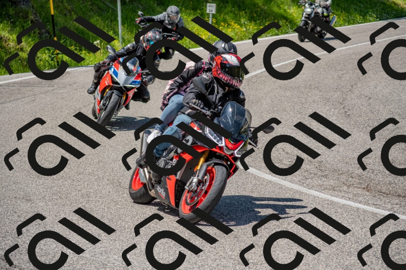 202506021255-DSC_9363_c4_