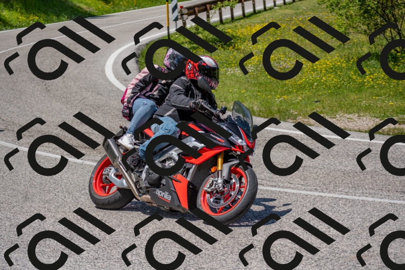 202506021255-DSC_9364_c4_