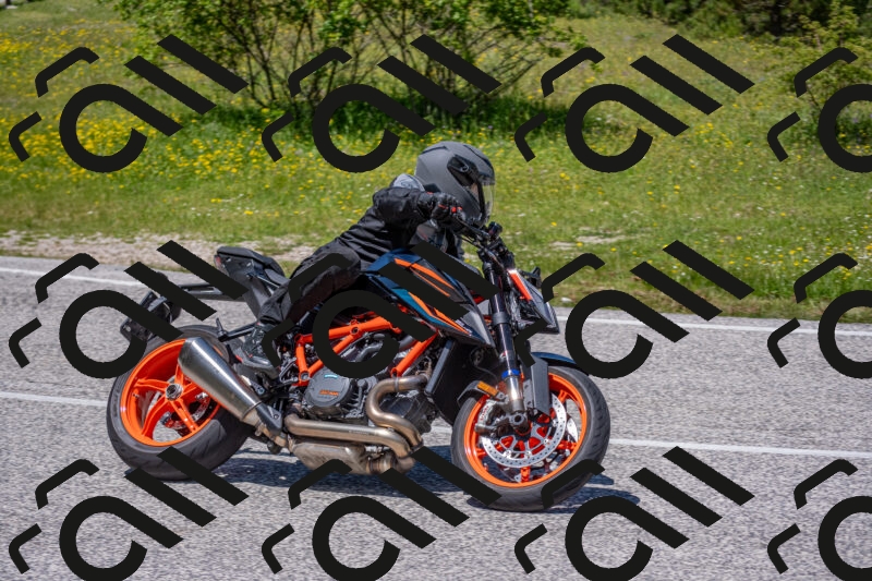 202506021255-DSC_9367_c4_