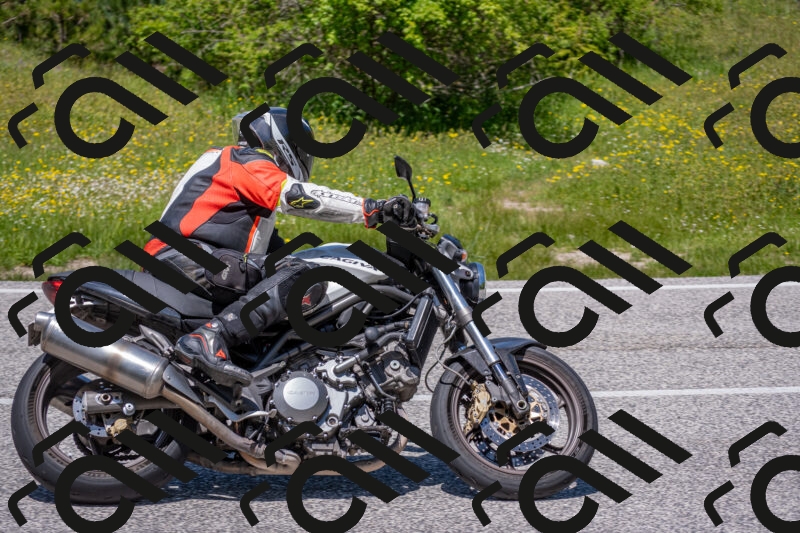 202506021255-DSC_9370_c4_