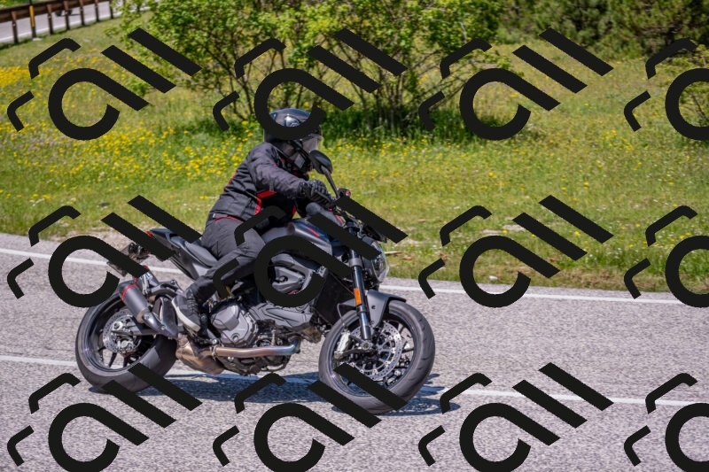 202506021255-DSC_9372_c4_