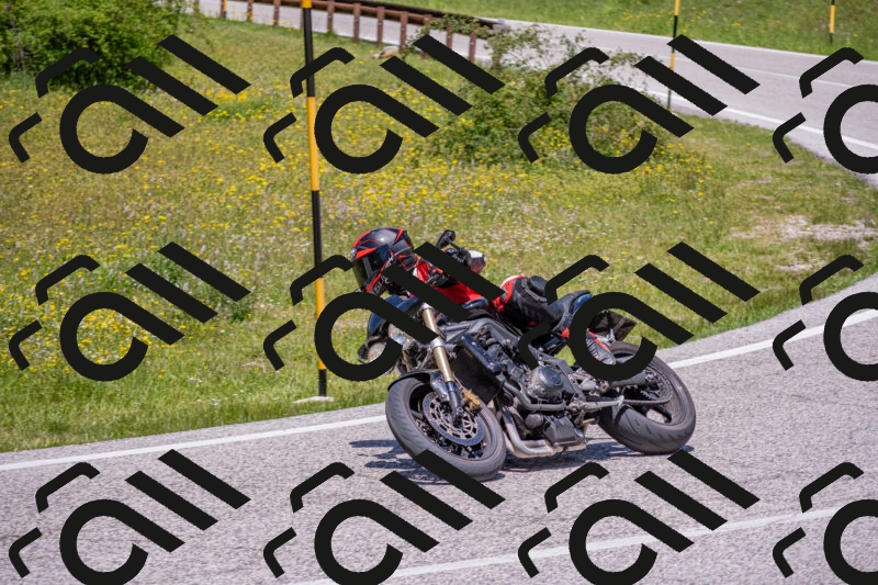 202506021255-DSC_9375_c4_