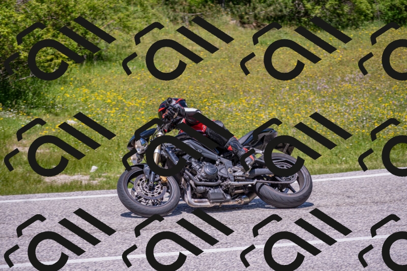 202506021255-DSC_9376_c4_