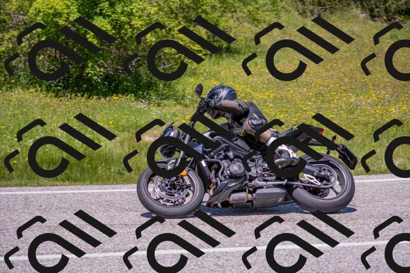 202506021255-DSC_9379_c4_