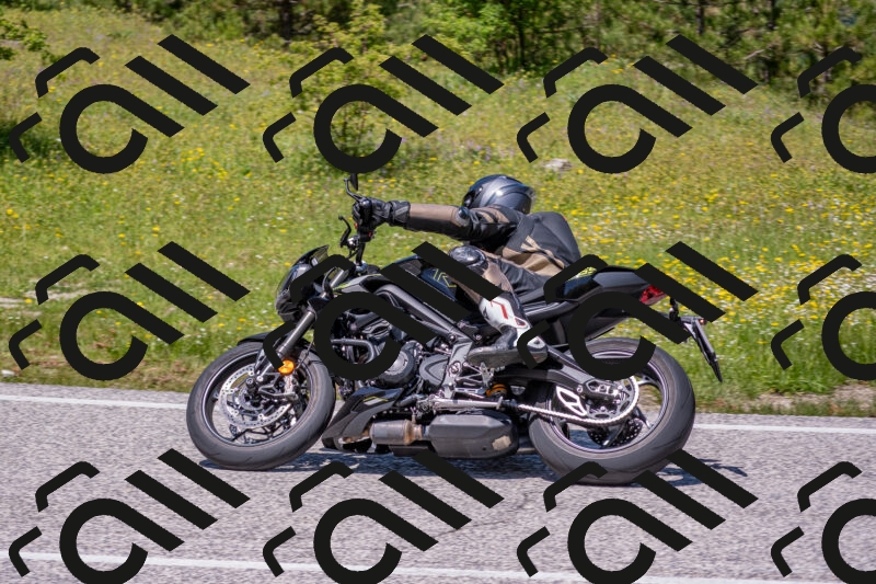 202506021255-DSC_9380_c4_