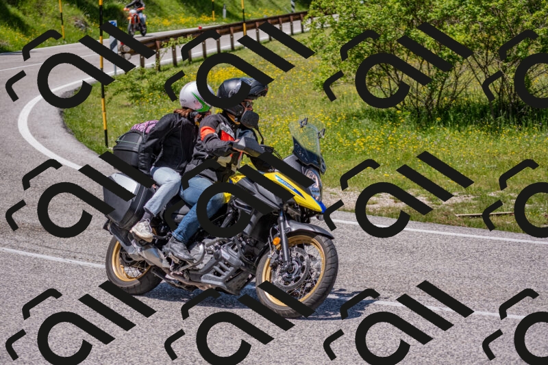 202506021255-DSC_9385_c4_