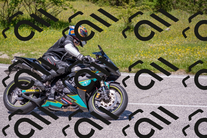 202506021255-DSC_9387_c4_