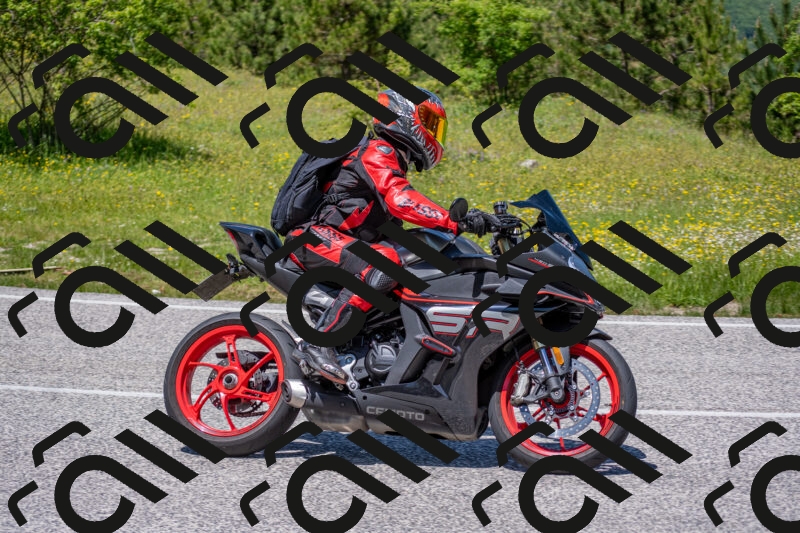 202506021257-DSC_9396_c4_