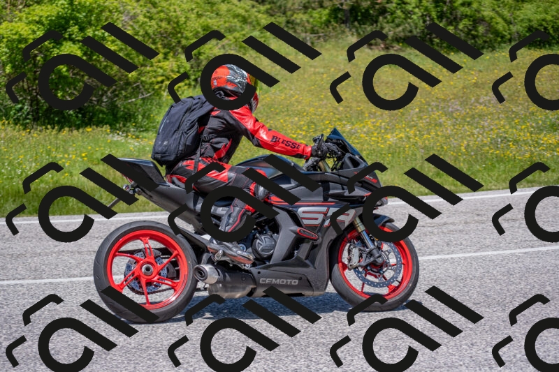 202506021257-DSC_9397_c4_