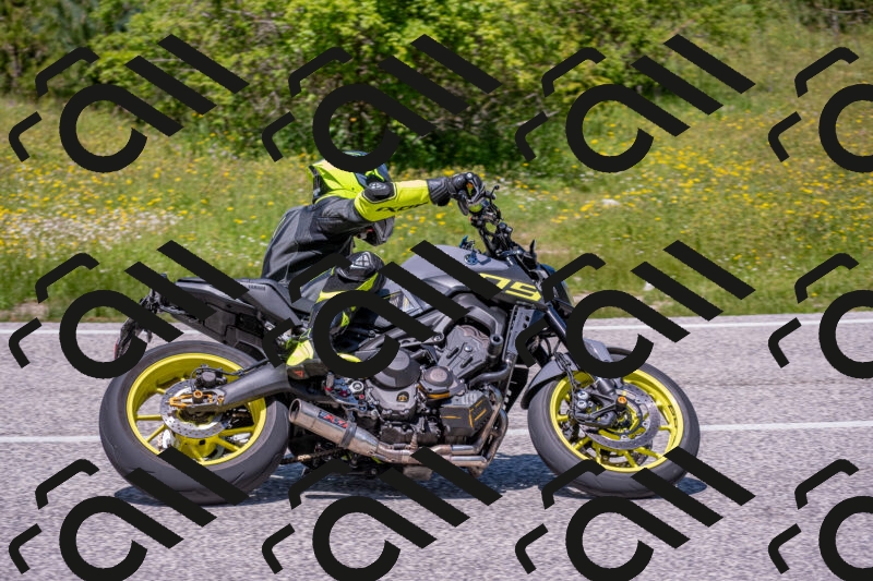 202506021257-DSC_9403_c4_