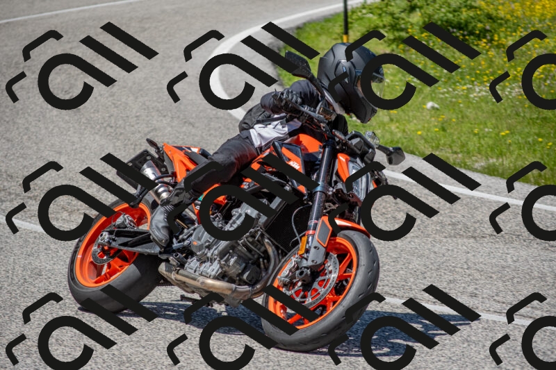 202506021257-DSC_9405_c4_