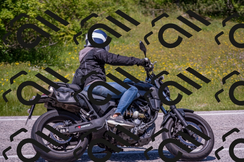 202506021257-DSC_9412_c4_