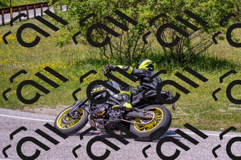 202506021257-DSC_9420_c4_