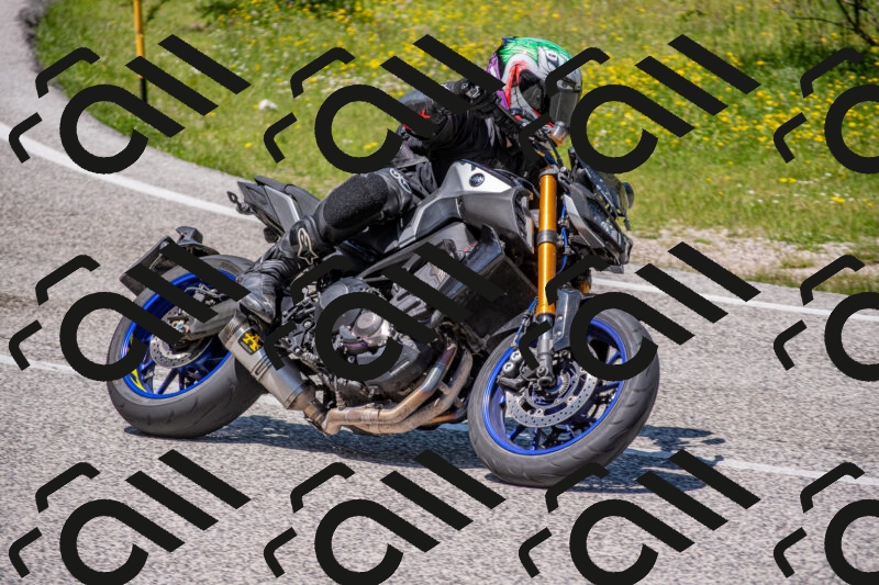 202506021258-DSC_9426_c4_