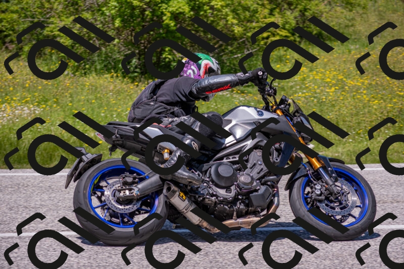 202506021258-DSC_9427_c4_