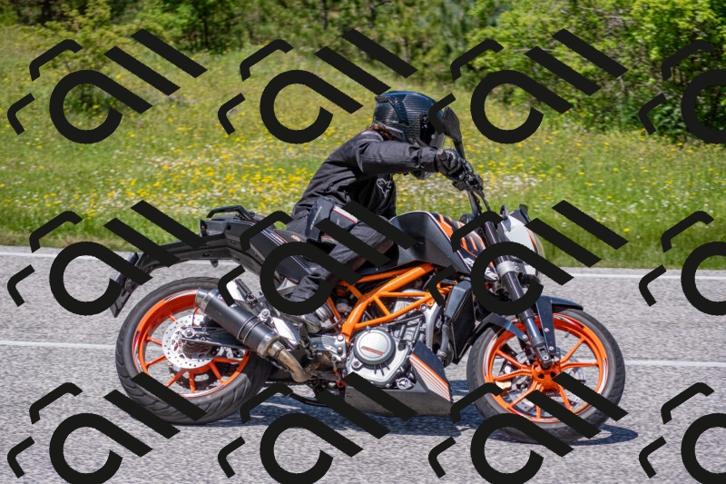 202506021258-DSC_9431_c4_