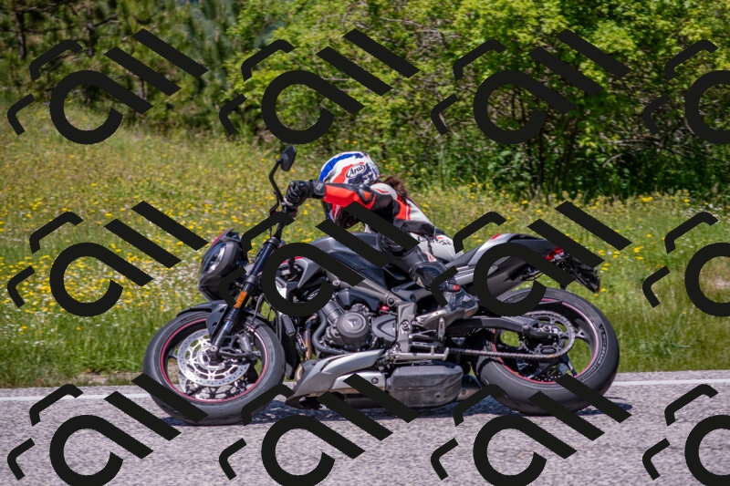 202506021300-DSC_9439_c4_