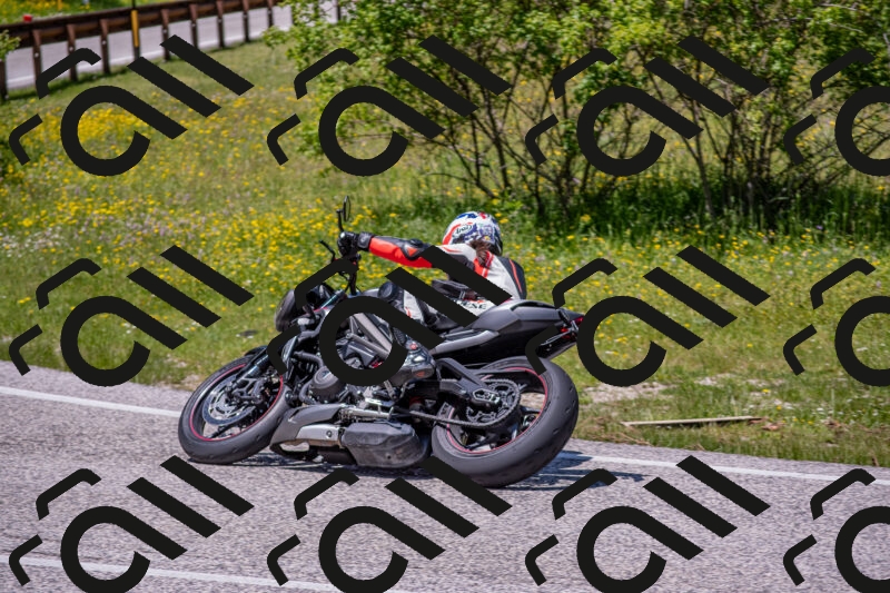 202506021300-DSC_9440_c4_