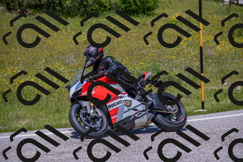 202506021300-DSC_9442_c4_