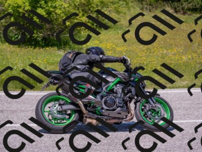 202506021300-DSC_9444_c4_