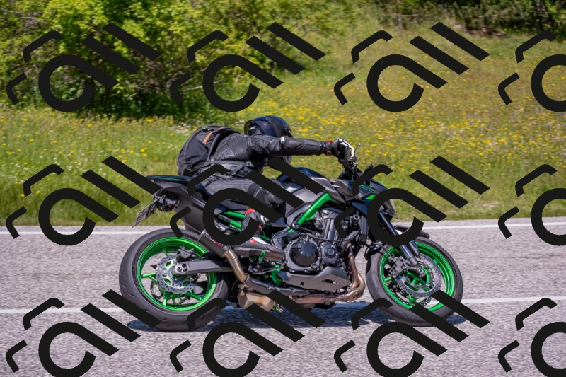 202506021300-DSC_9444_c4_