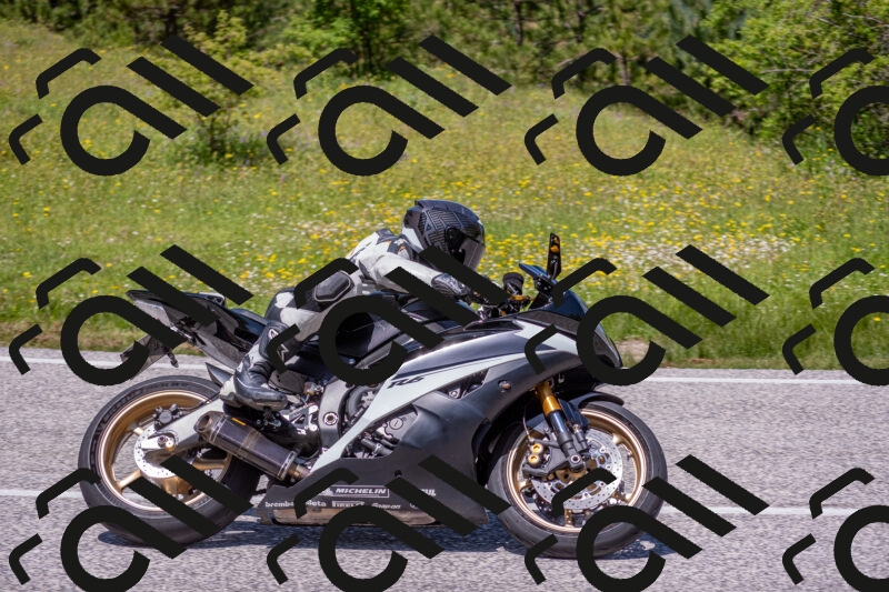 202506021300-DSC_9454_c4_