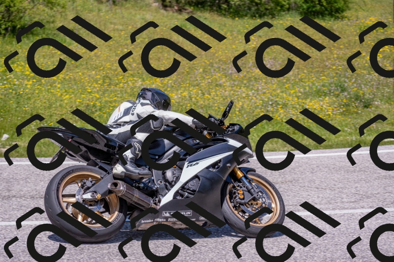 202506021300-DSC_9455_c4_