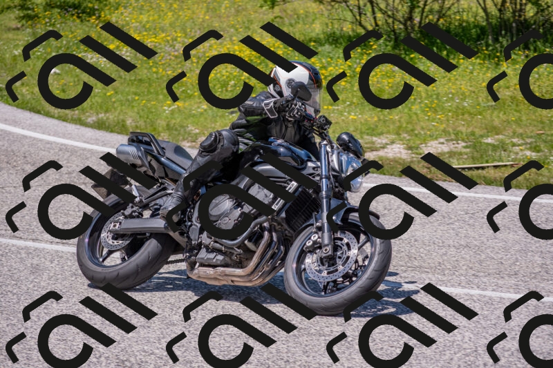 202506021300-DSC_9456_c4_