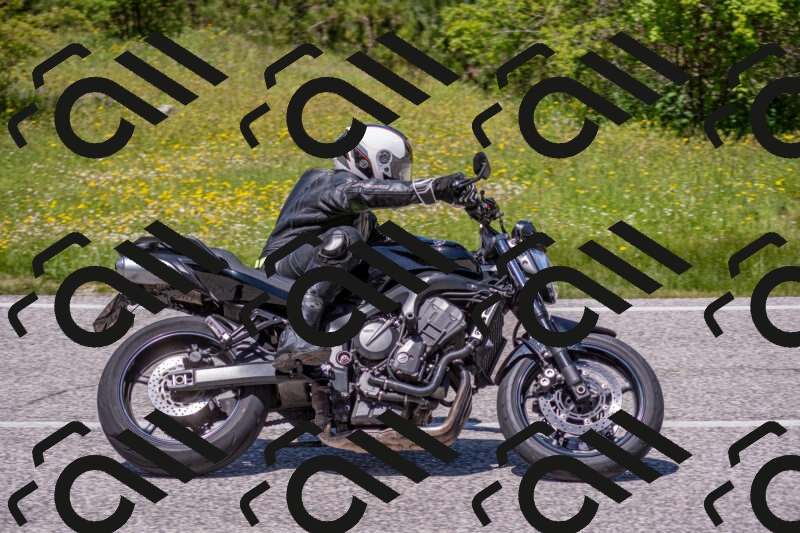 202506021300-DSC_9457_c4_