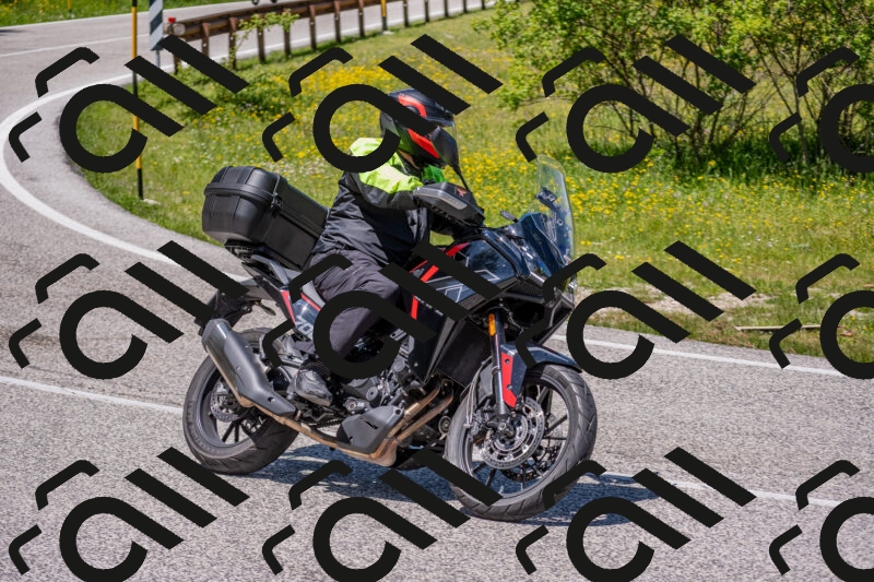 202506021300-DSC_9460_c4_