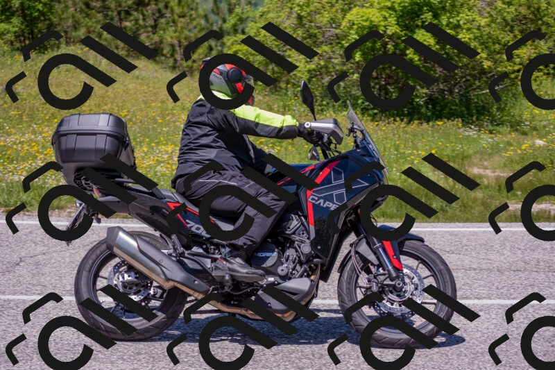 202506021300-DSC_9461_c4_