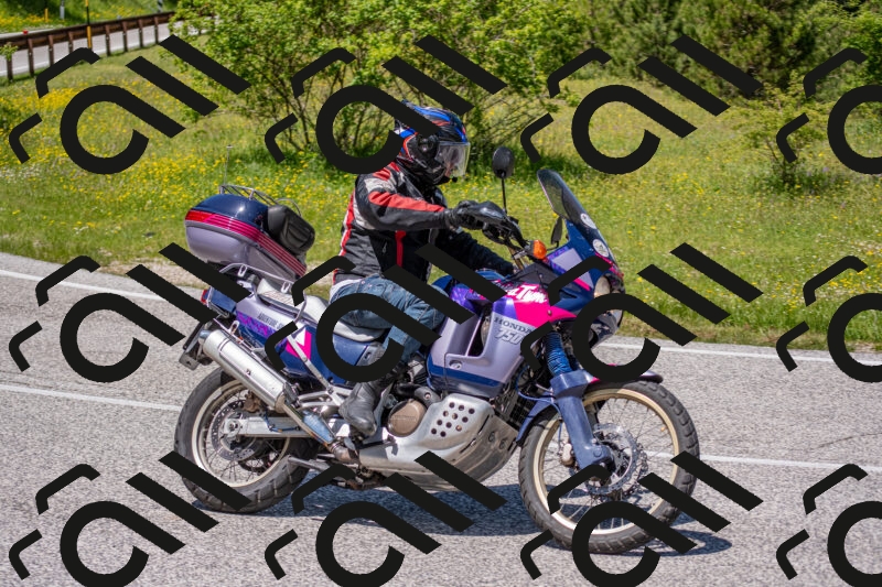 202506021300-DSC_9464_c4_