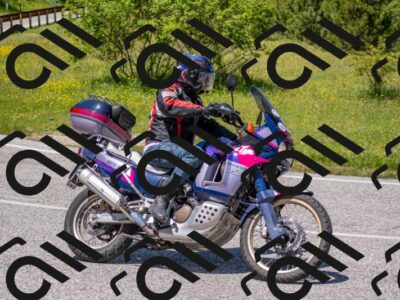 202506021300-DSC_9464_c4_