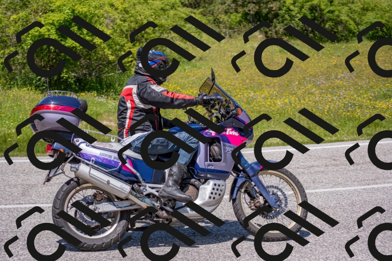 202506021300-DSC_9465_c4_