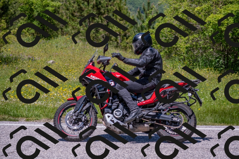 202506021302-DSC_9475_c4_