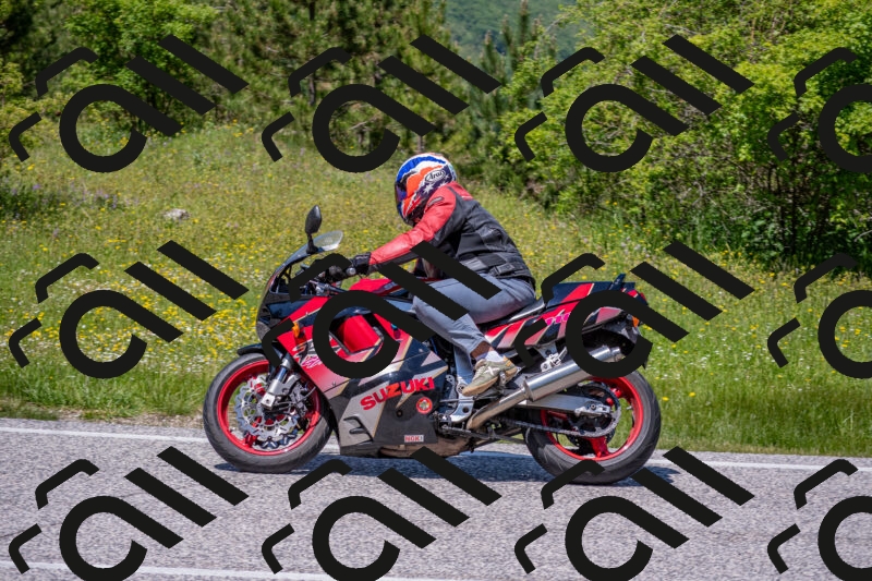 202506021302-DSC_9478_c4_