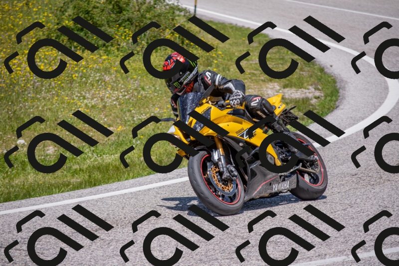 202506021302-DSC_9481_c4_